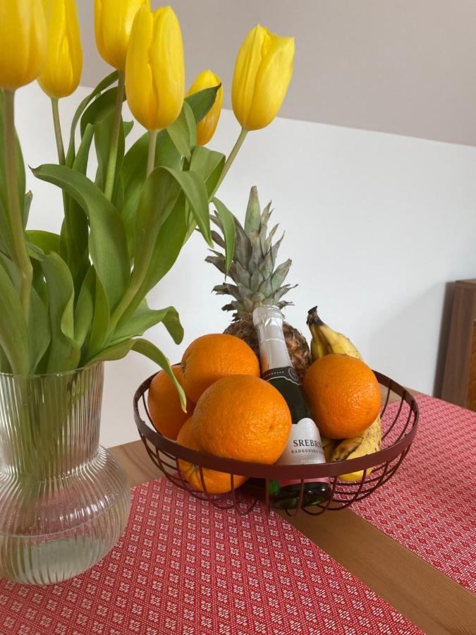 Apartment Krakovska Ljubljana