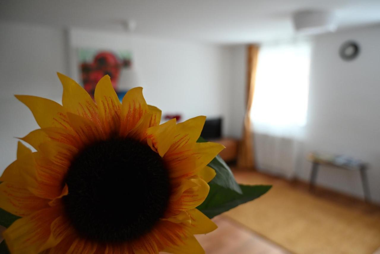 Krakovska Apartment *